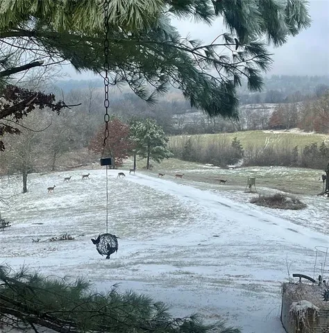 a view of a backyard of a house