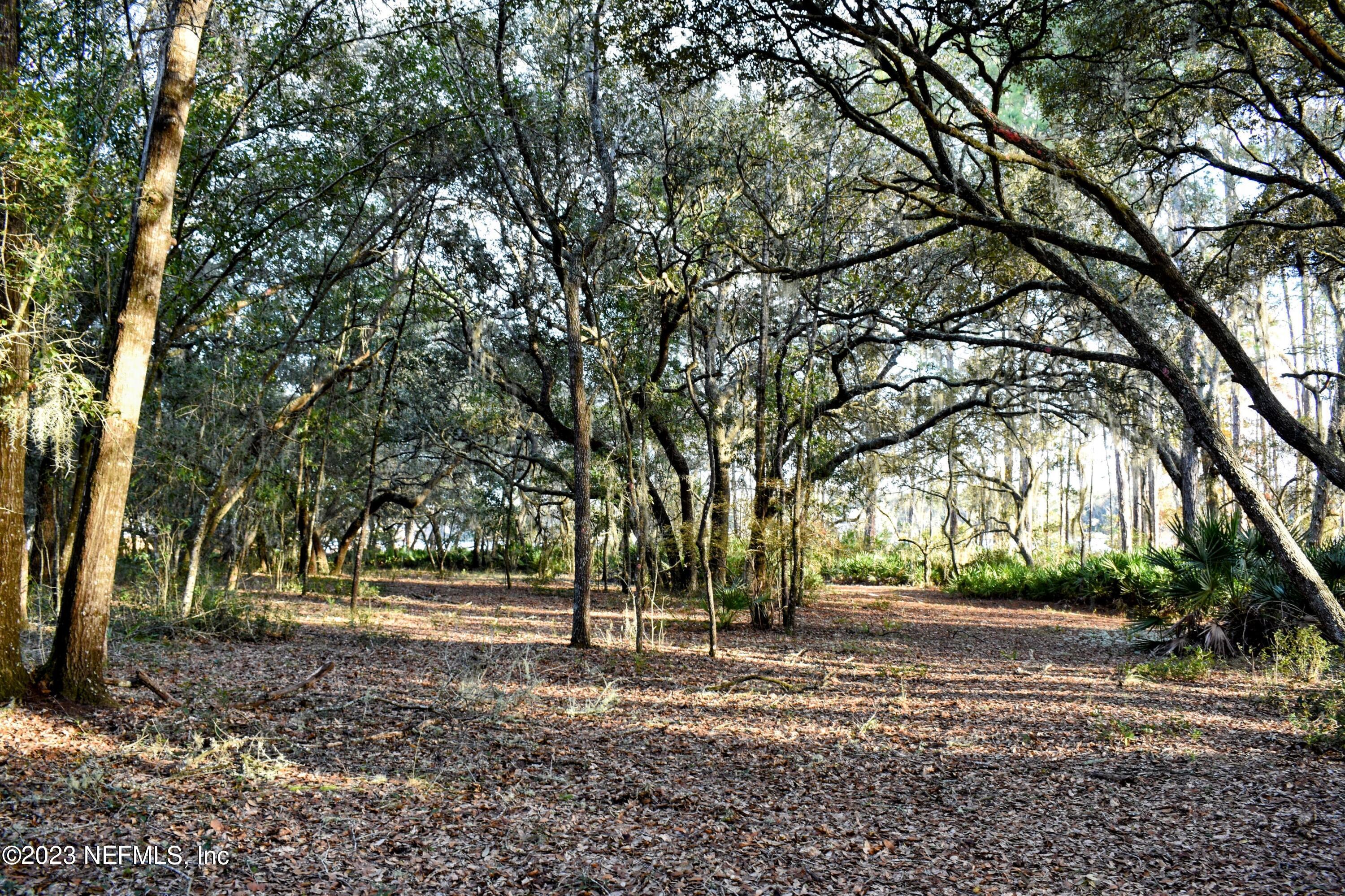 a view of road with trees