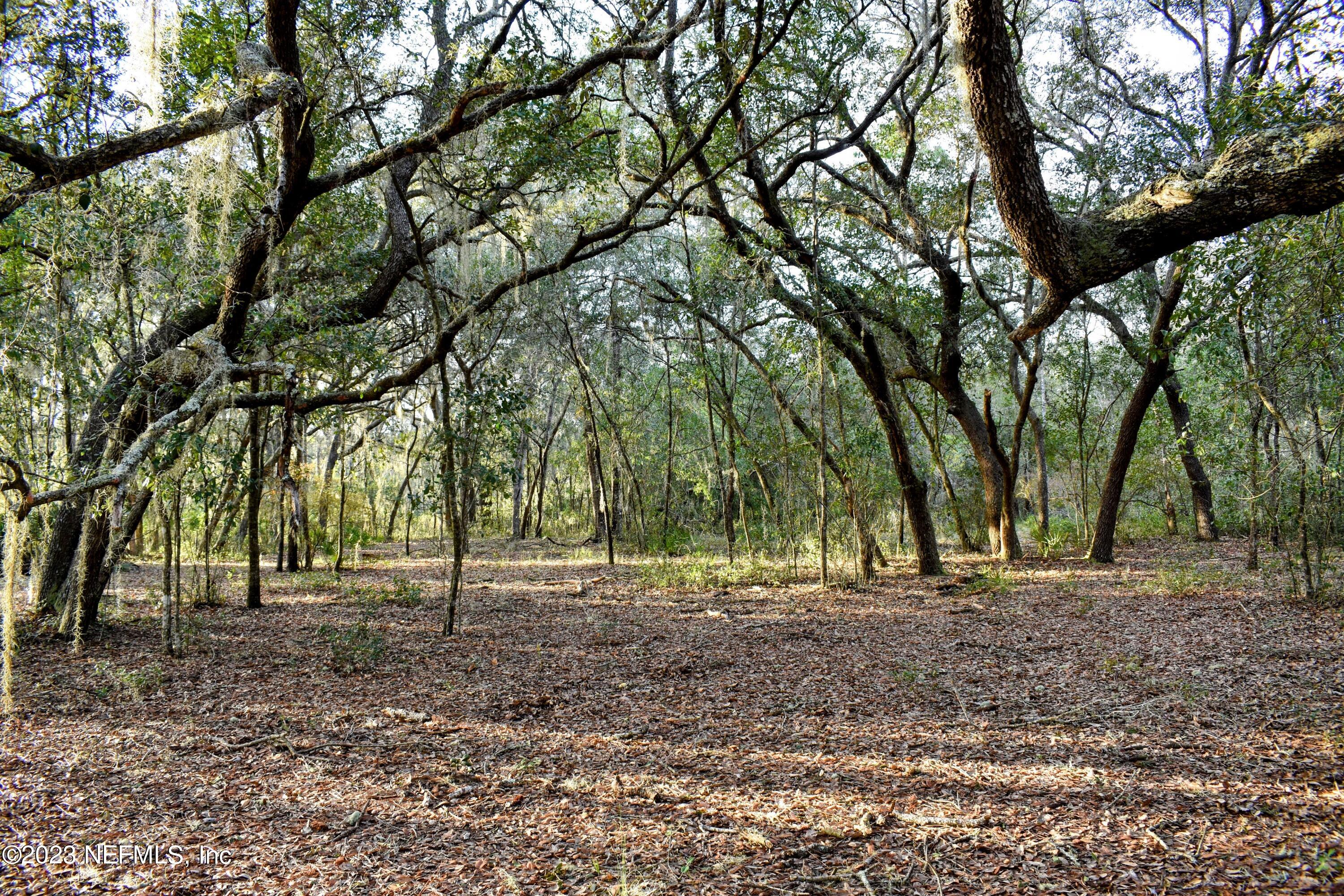 0 Simpson Drive Interlachen, FL 32148 - Photo 11 of 34 a view of road with trees