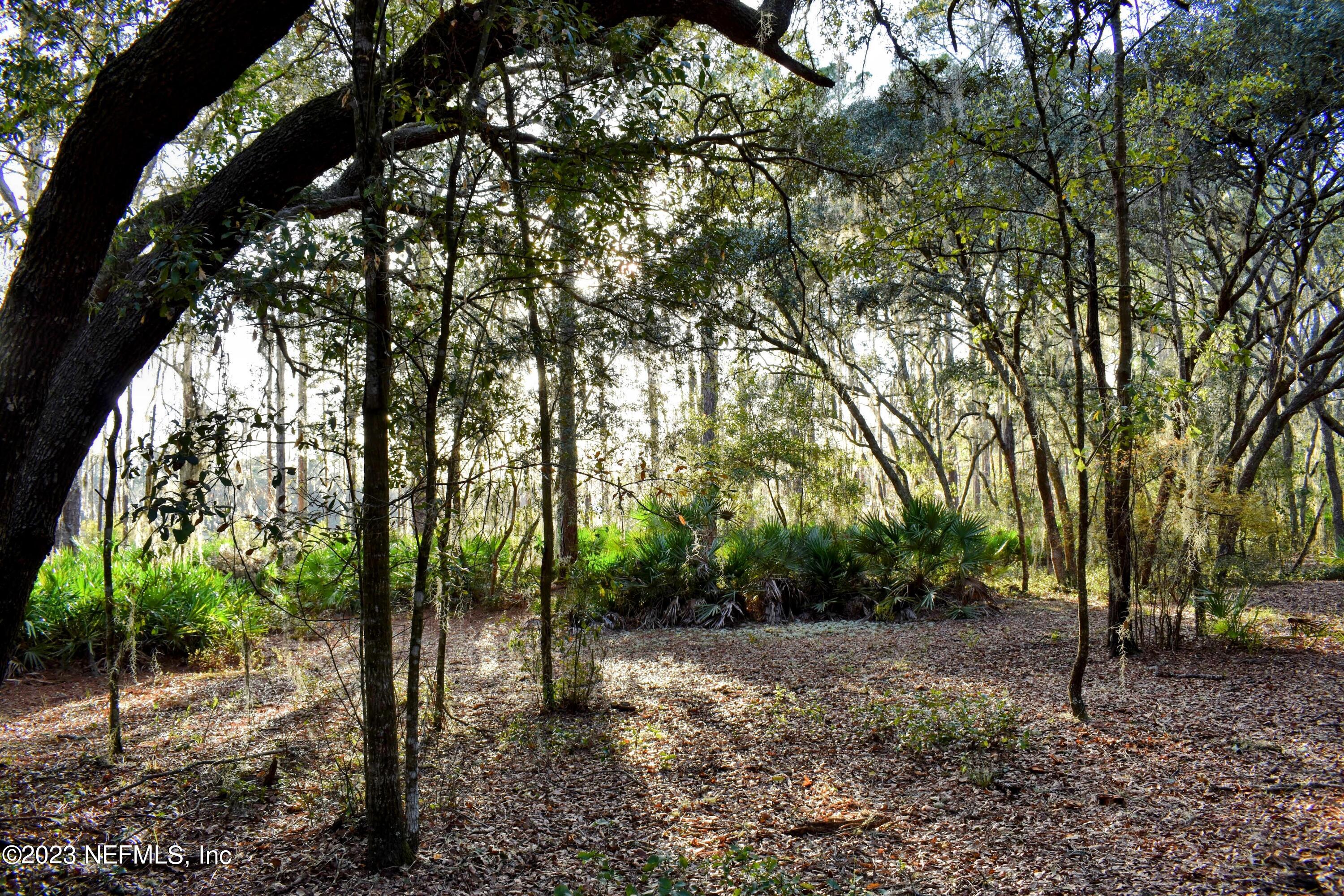 0 Simpson Drive Interlachen, FL 32148 - Photo 12 of 34 a view of outdoor space with lots of trees