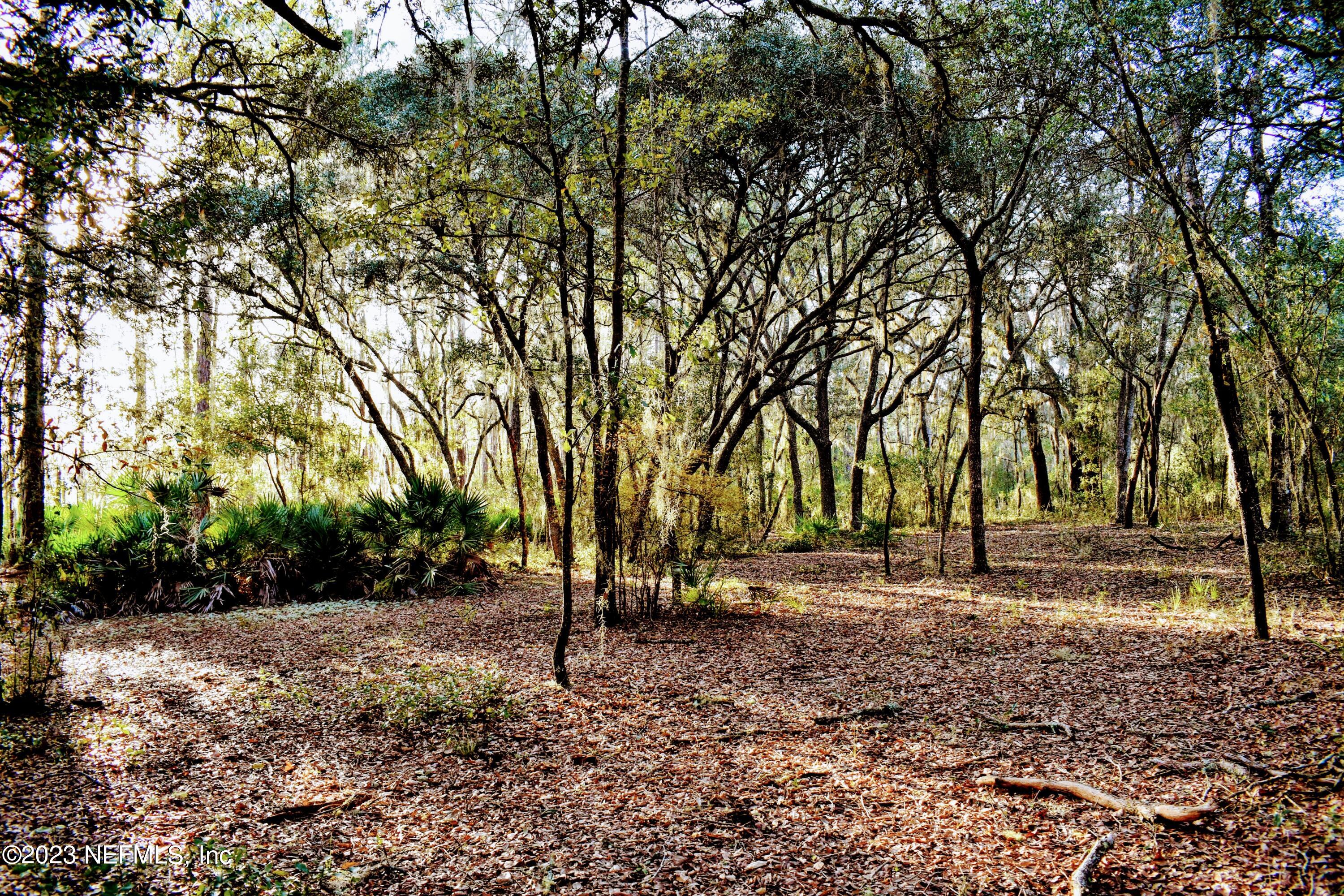 0 Simpson Drive Interlachen, FL 32148 - Photo 13 of 34 a view of house with trees in the background