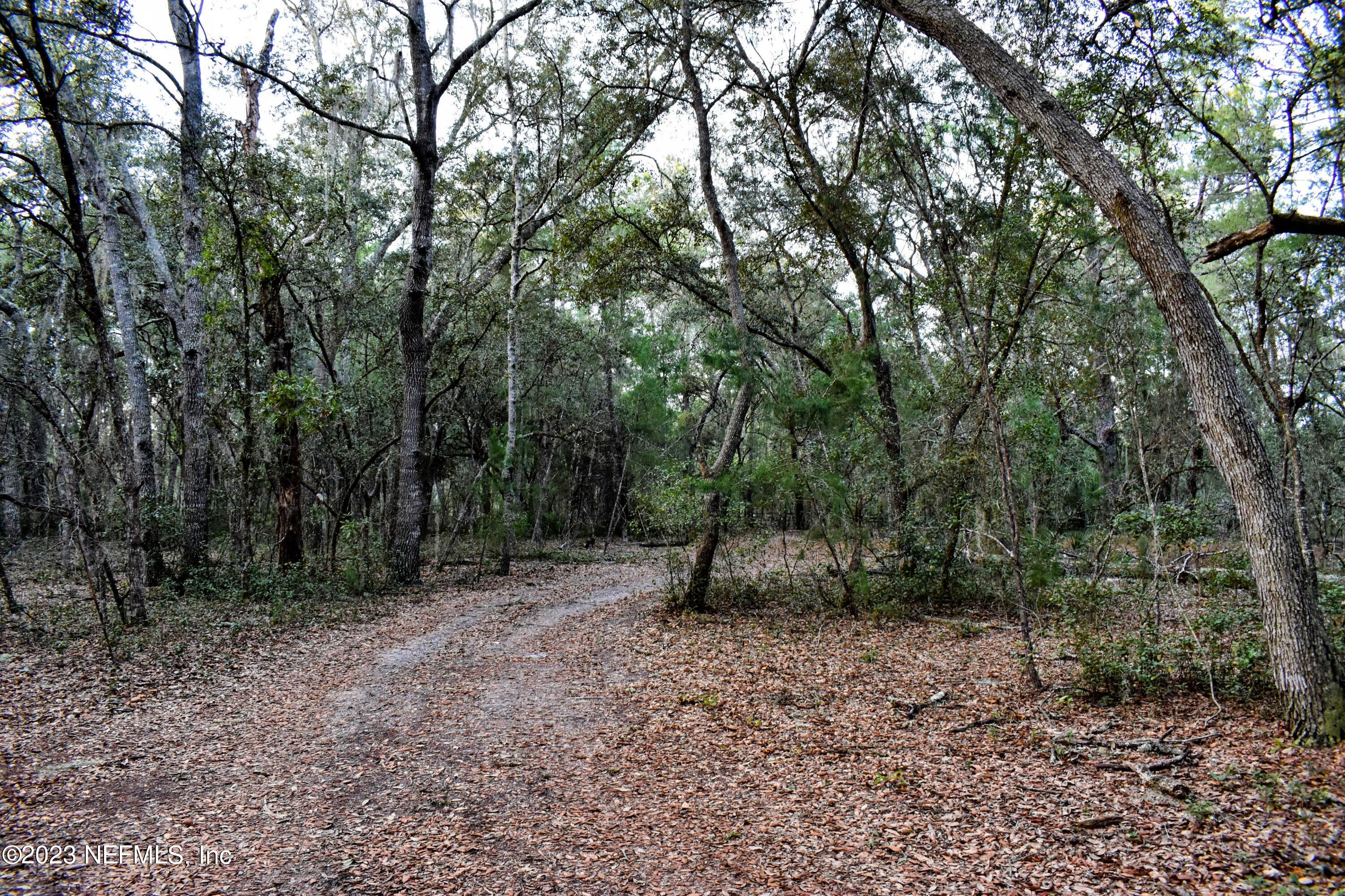 0 Simpson Drive Interlachen, FL 32148 - Photo 14 of 34 a view of outdoor space and green space