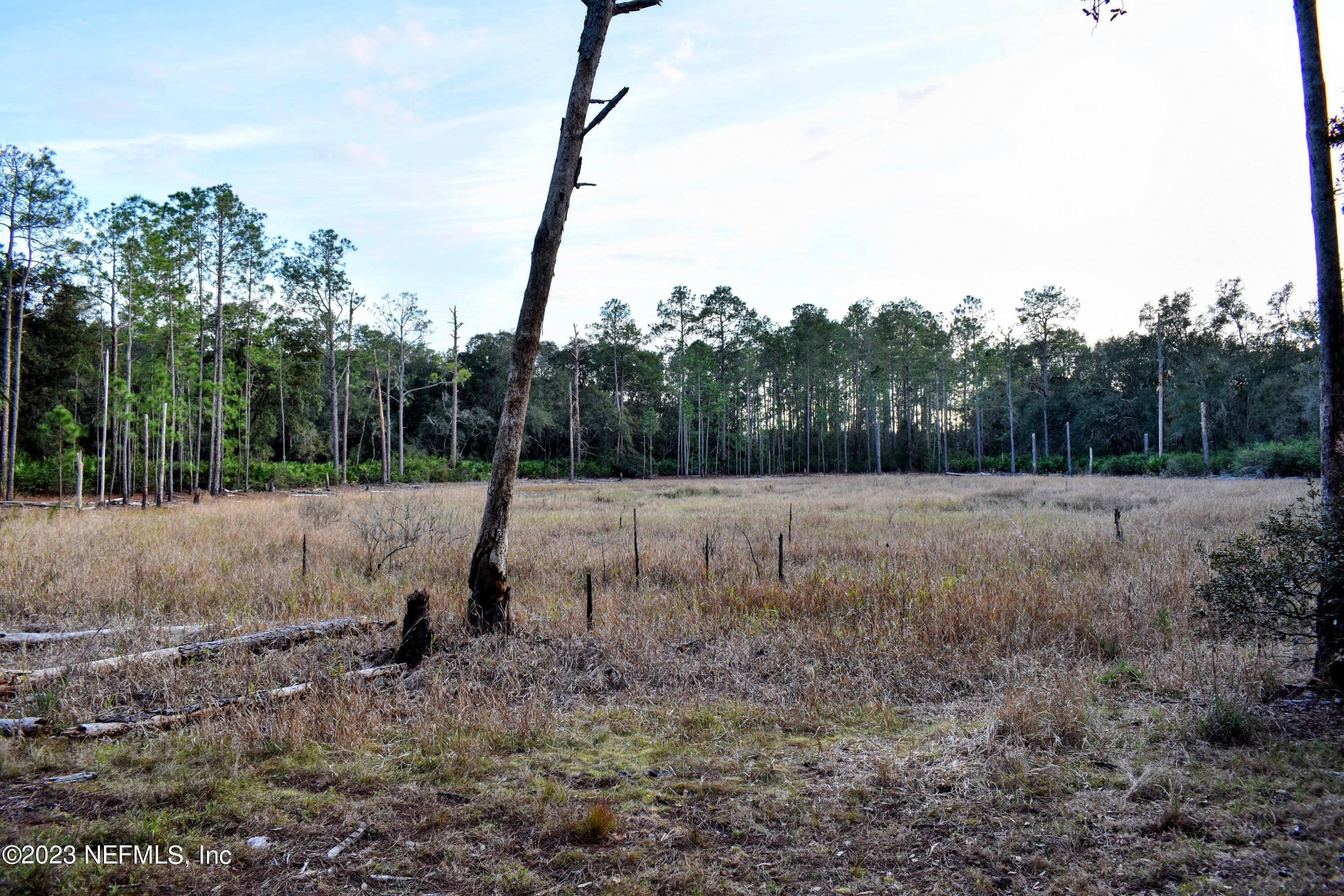 0 Simpson Drive Interlachen, FL 32148 - Photo 15 of 34 a backyard of a house