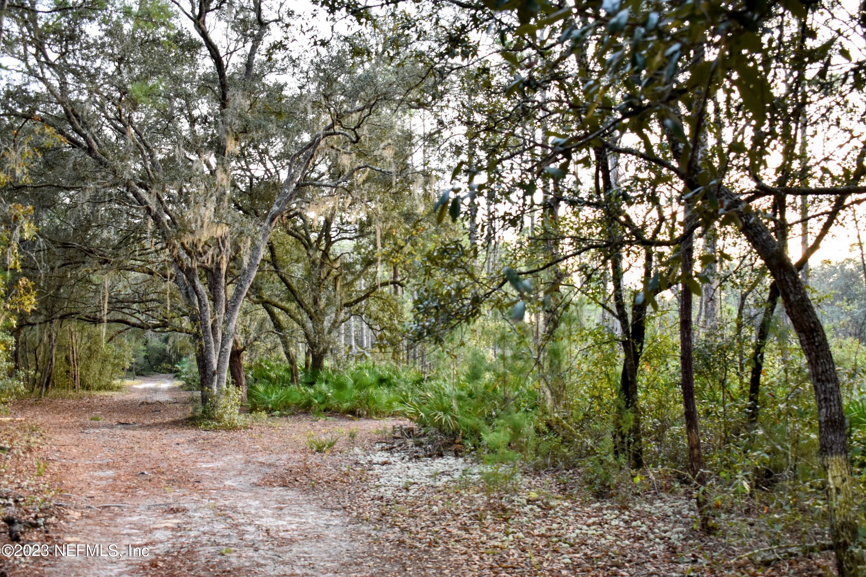 0 Simpson Drive Interlachen, FL 32148 - Photo 18 of 34 a pathway of a yard