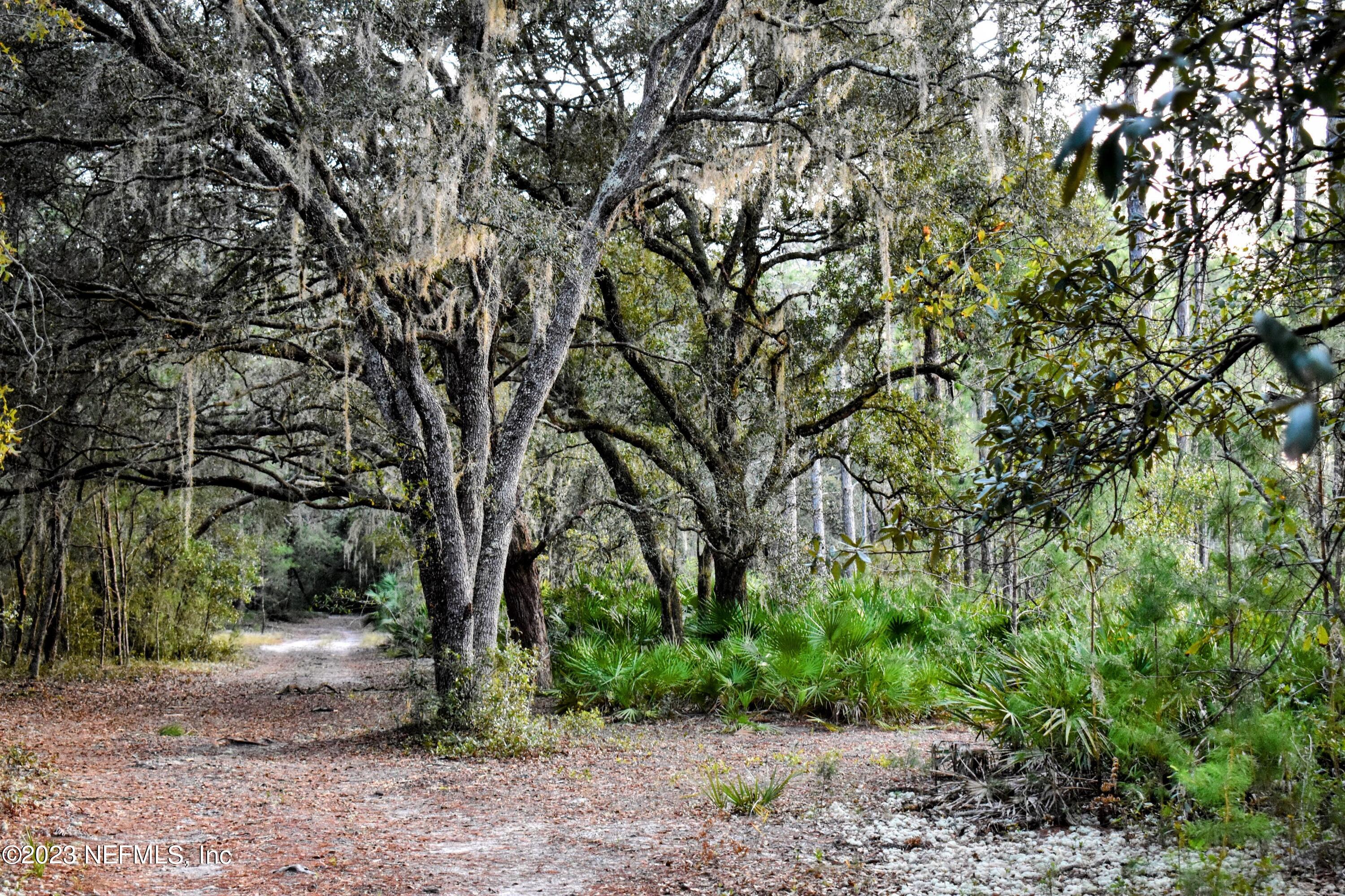 0 Simpson Drive Interlachen, FL 32148 - Photo 19 of 34 a view of outdoor space and trees