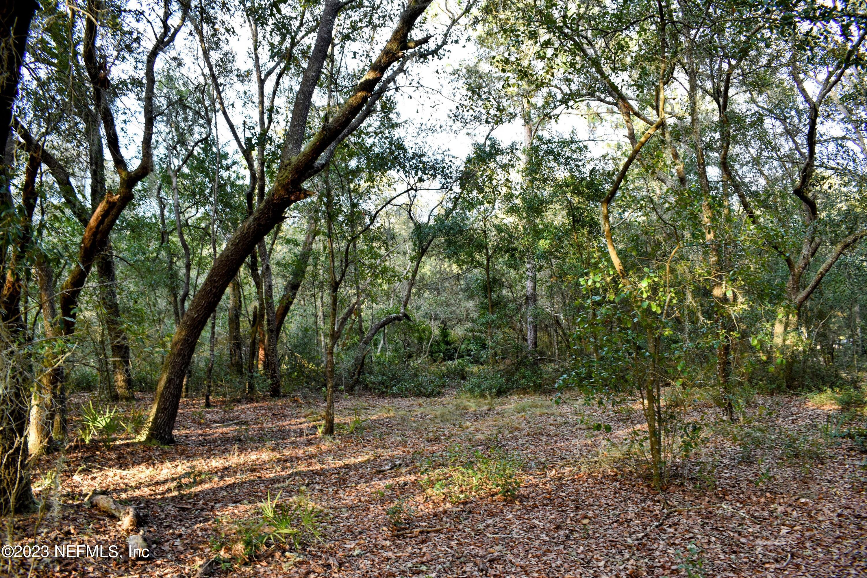 0 Simpson Drive Interlachen, FL 32148 - Photo 20 of 34 a backyard of a house with lots of green space
