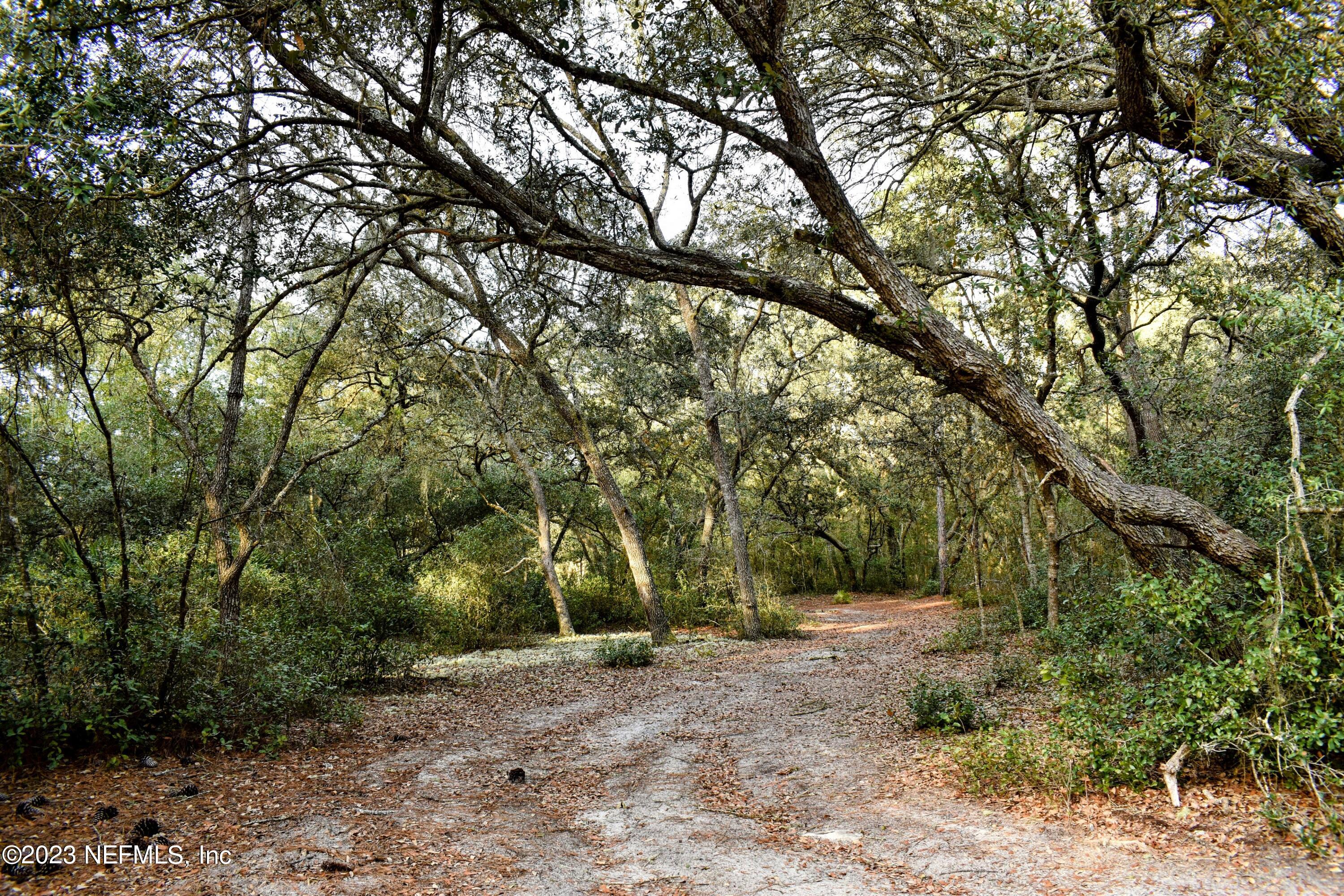0 Simpson Drive Interlachen, FL 32148 - Photo 2 of 34 a view of backyard with green space