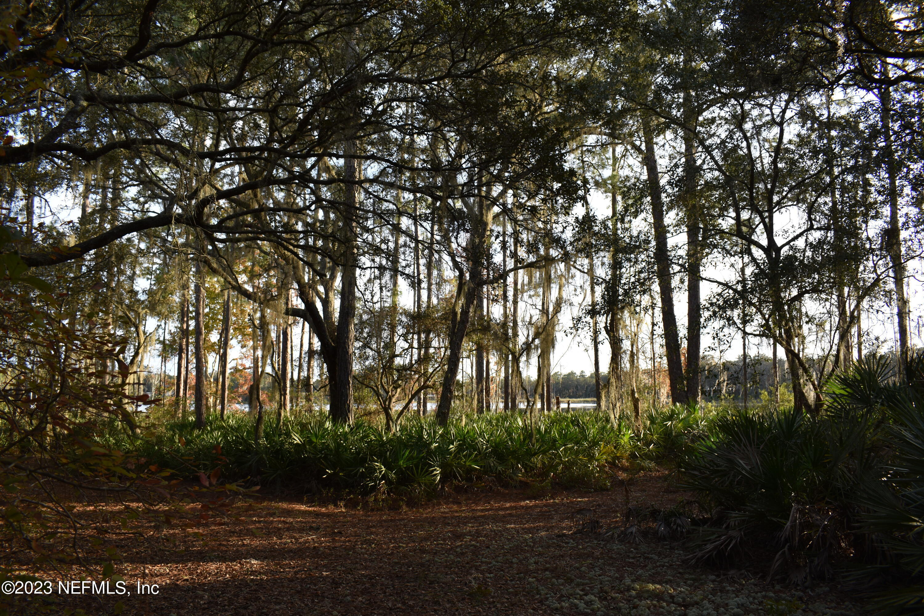 0 Simpson Drive Interlachen, FL 32148 - Photo 21 of 34 a view of outdoor space and trees