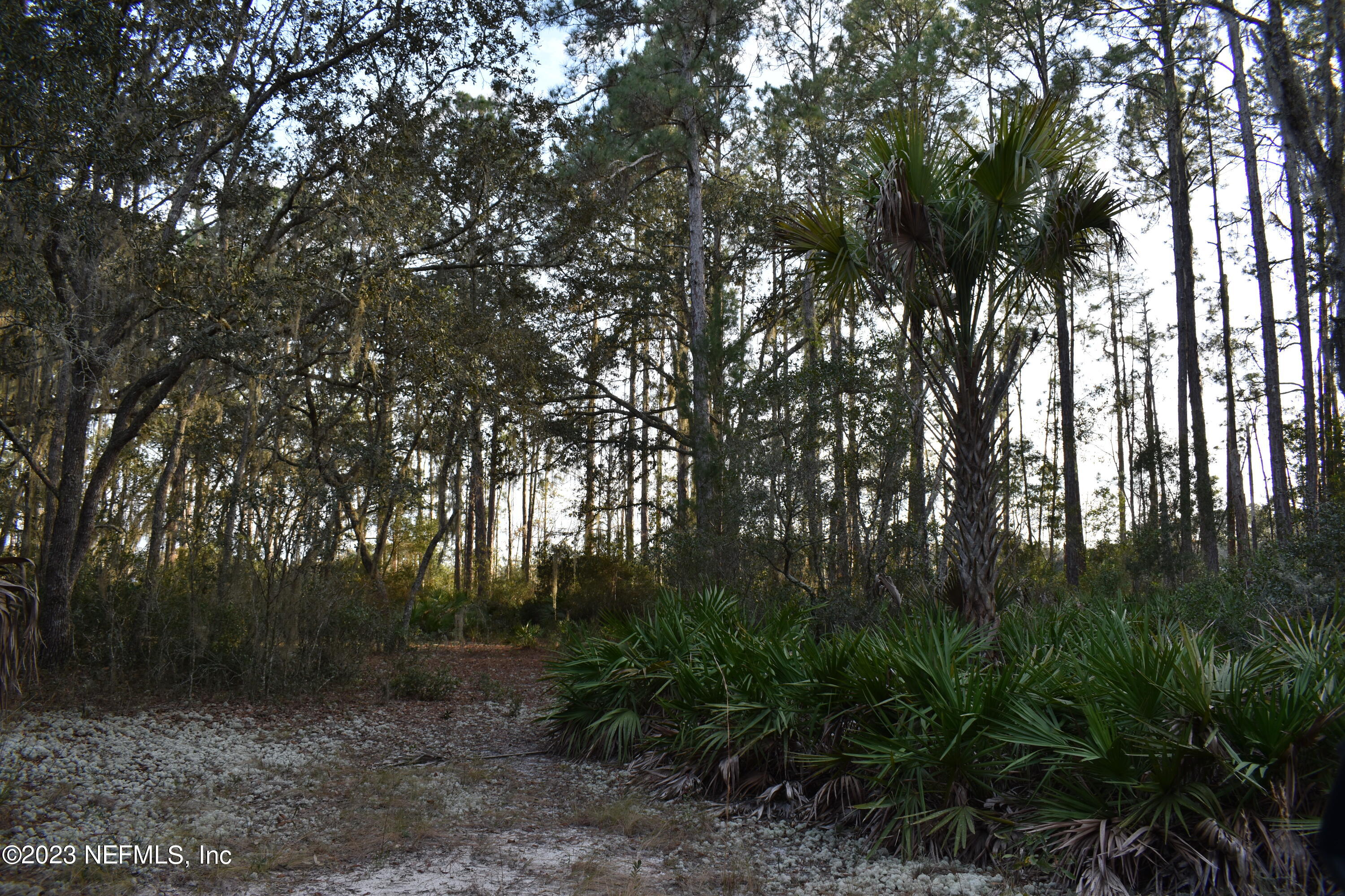 0 Simpson Drive Interlachen, FL 32148 - Photo 23 of 34 a view of outdoor space and yard
