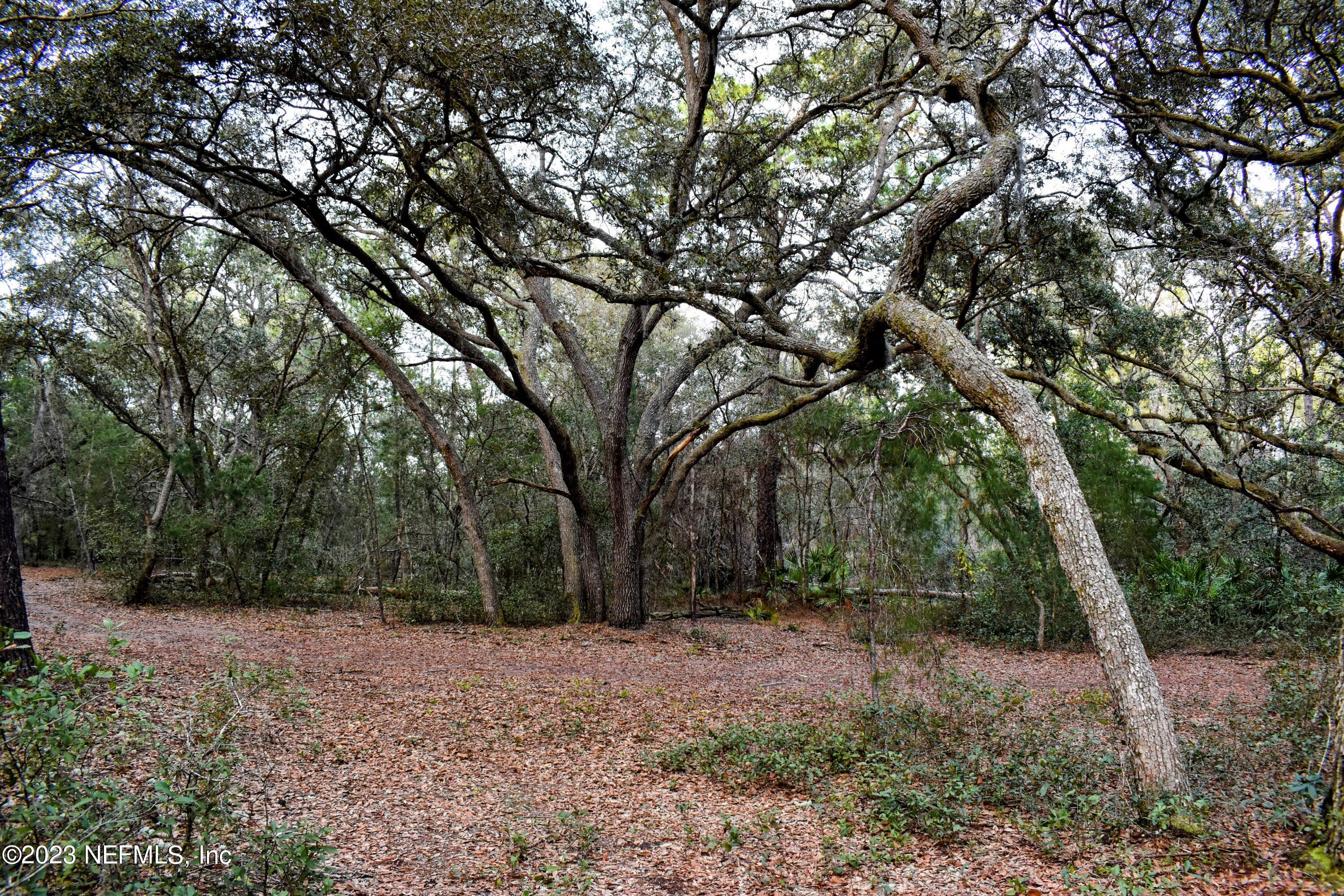 0 Simpson Drive Interlachen, FL 32148 - Photo 25 of 34 a view of backyard with green space