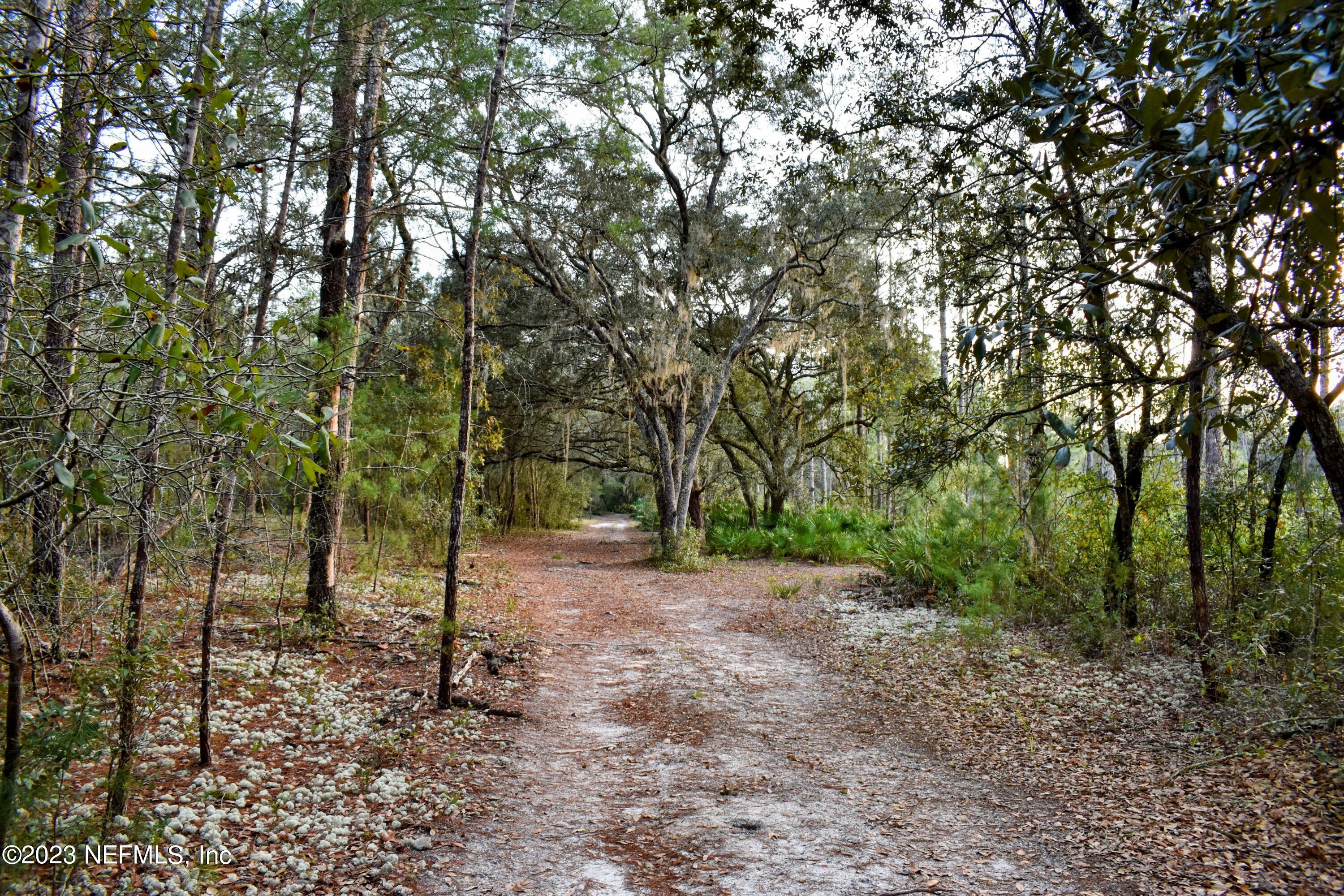 0 Simpson Drive Interlachen, FL 32148 - Photo 26 of 34 a view of a forest with trees in the background
