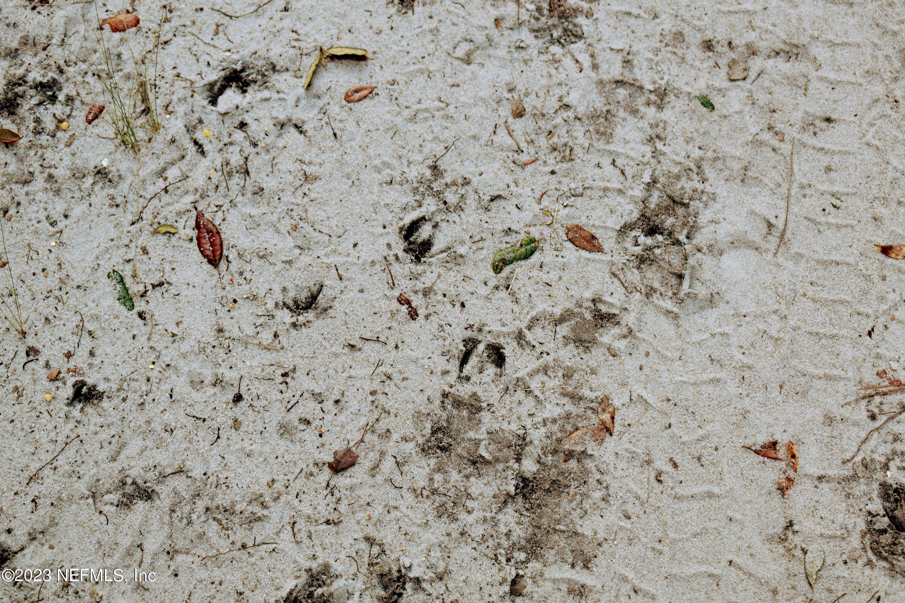 0 Simpson Drive Interlachen, FL 32148 - Photo 32 of 34 a close up of a white marble wall