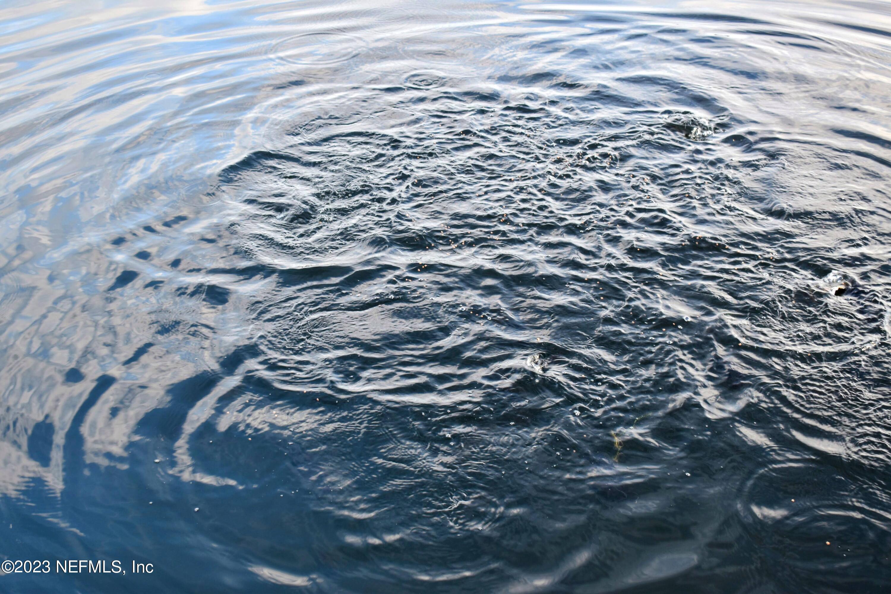 0 Simpson Drive Interlachen, FL 32148 - Photo 7 of 34