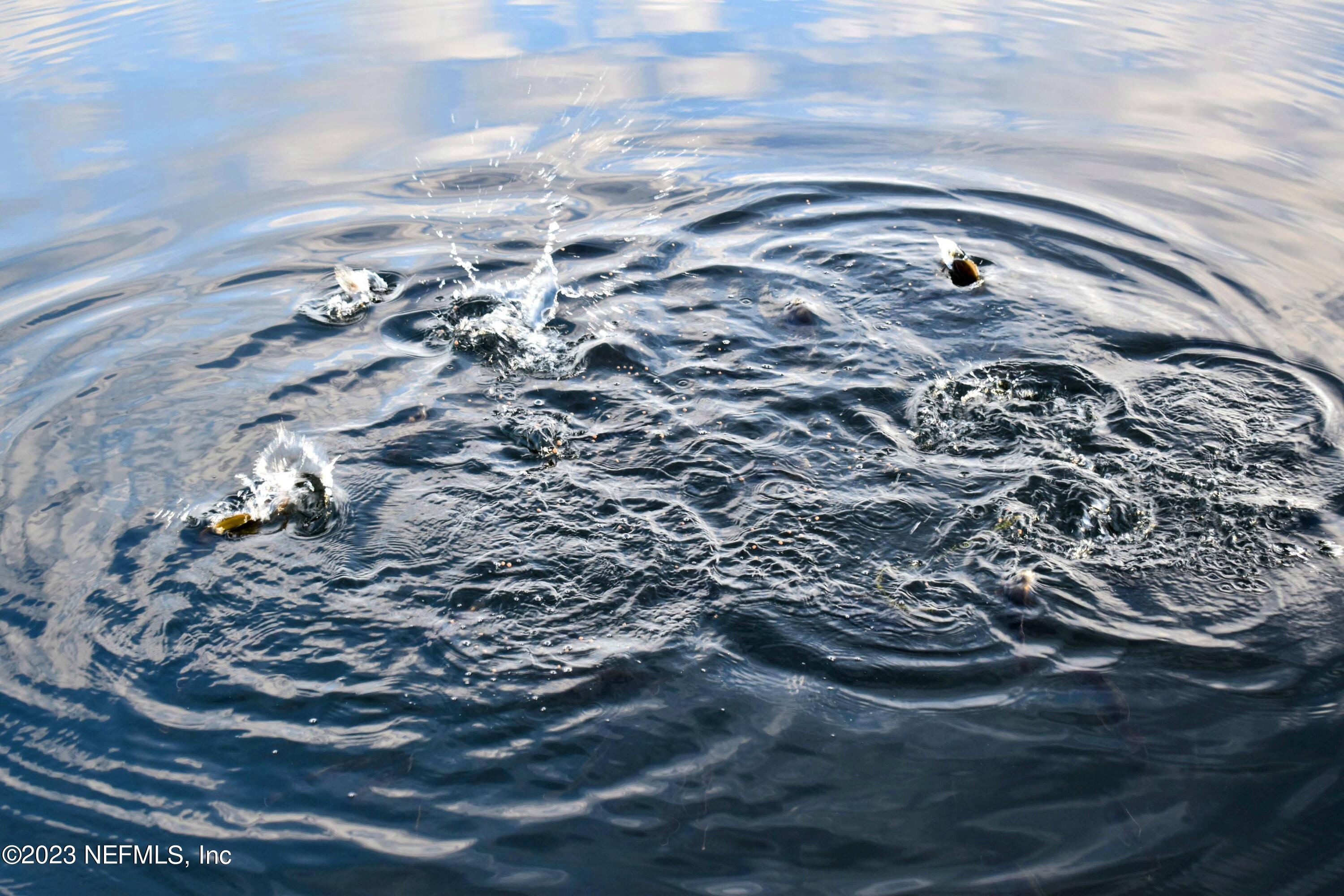 0 Simpson Drive Interlachen, FL 32148 - Photo 8 of 34 a view of water heater