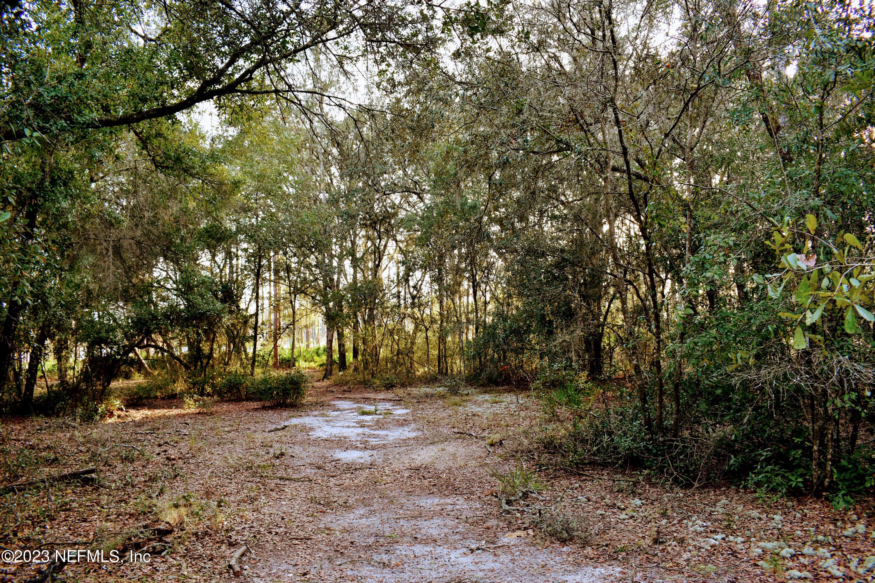 0 Simpson Drive Interlachen, FL 32148 - Photo 9 of 34 a view of outdoor space with trees