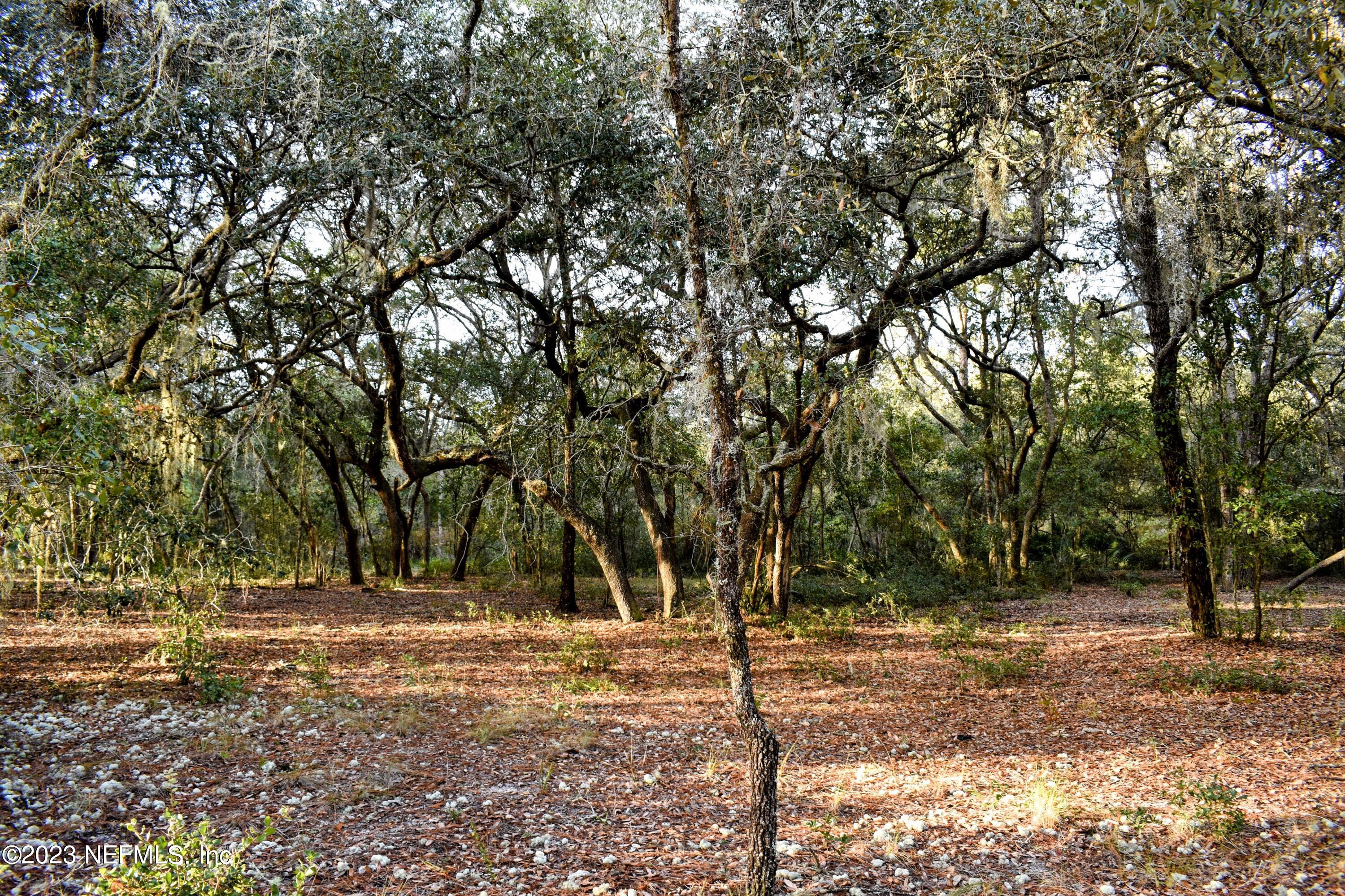 0 Simpson Drive Interlachen, FL 32148 - Photo 10 of 34 a view of outdoor space with trees