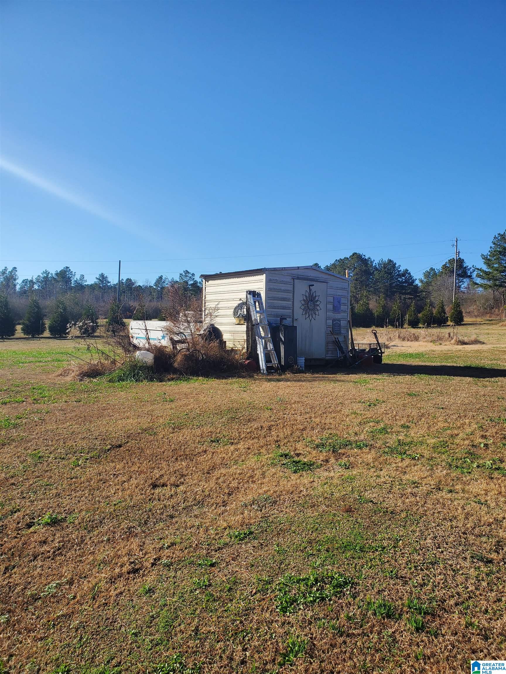 681 Graves Cemetery Road Blountsville, AL 35031 - Photo 14 of 22