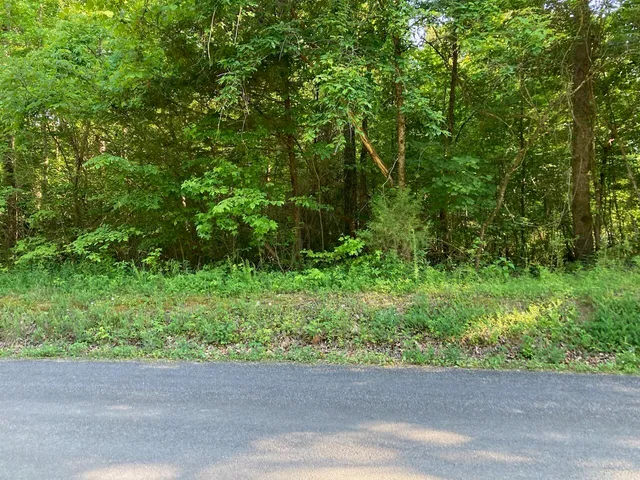 $45,000 | 0 Horner Hollow Road, Birchwood, TN 37308