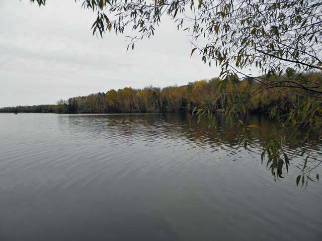 Lot 4-on Gustafson Road Butternut, WI 54514 - Photo 4 of 16 Gallery Image 4
