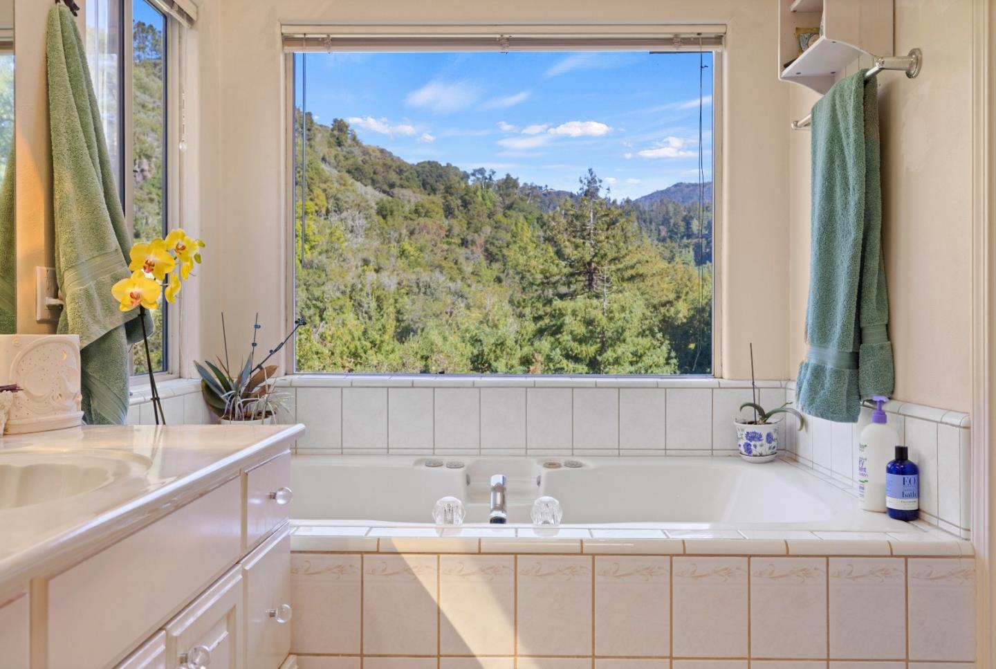 38621 Palo Colorado Road Carmel, CA 93923 - Photo 18 of 32 a bathroom with a sink and a mirror