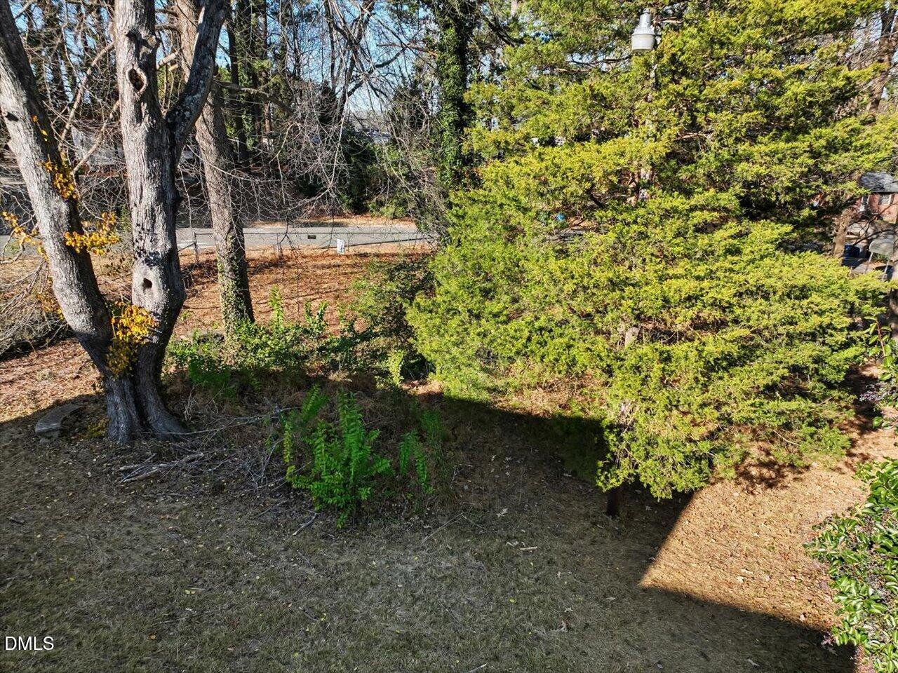 1501 Fairfax Road Durham, NC 27701 - Photo 39 of 42 a view of a yard with plants and trees