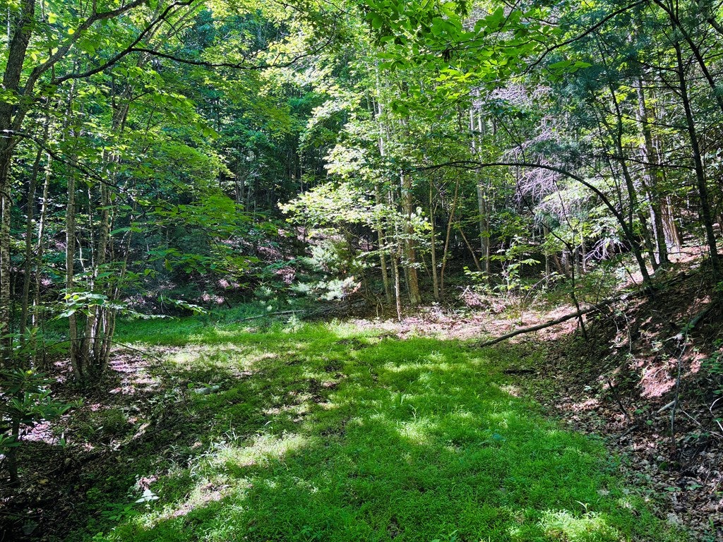 Tbd Pleasantview Road, Unit 72 Austinville, VA 24312 - Photo 49 of 63 Gallery Image 49