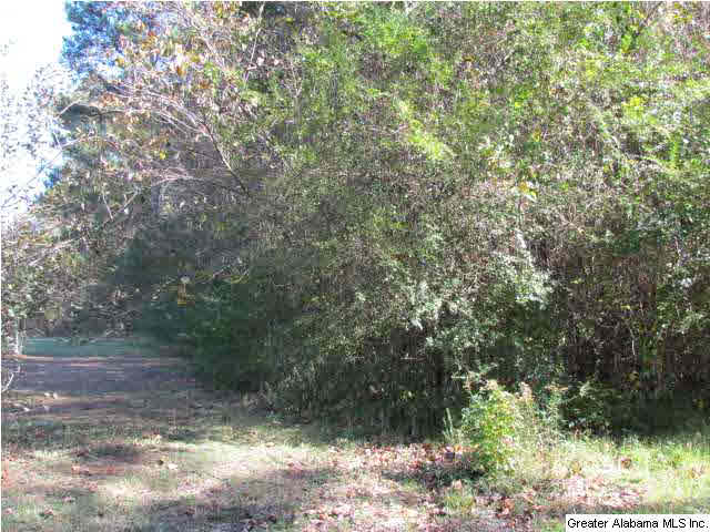 1576 Ray Wyatt Road, Unit 10 AC Ashville, AL 35953 - Photo 2 of 2