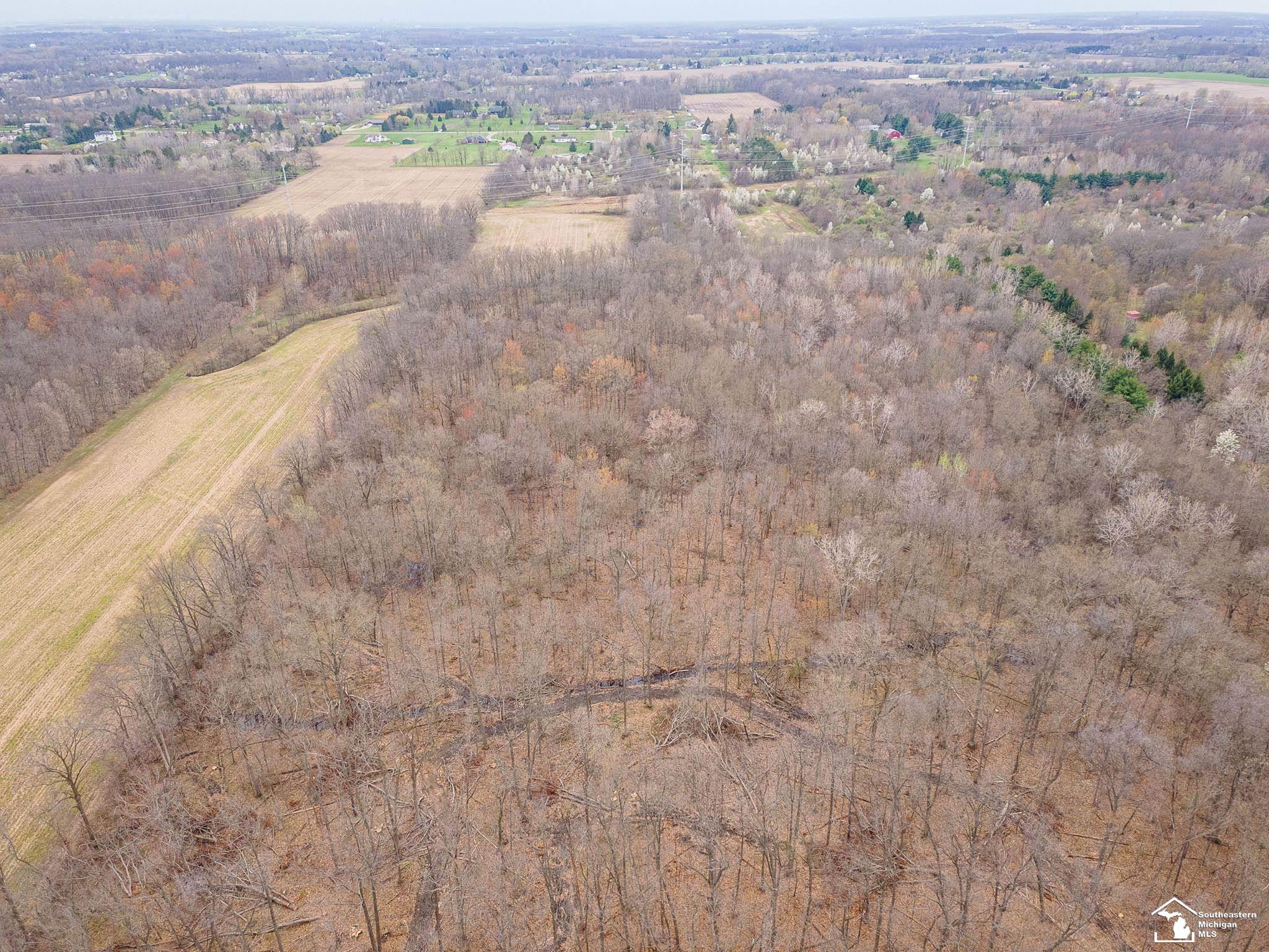 3455 West Albain Road Monroe, MI 48161 - Photo 66 of 78