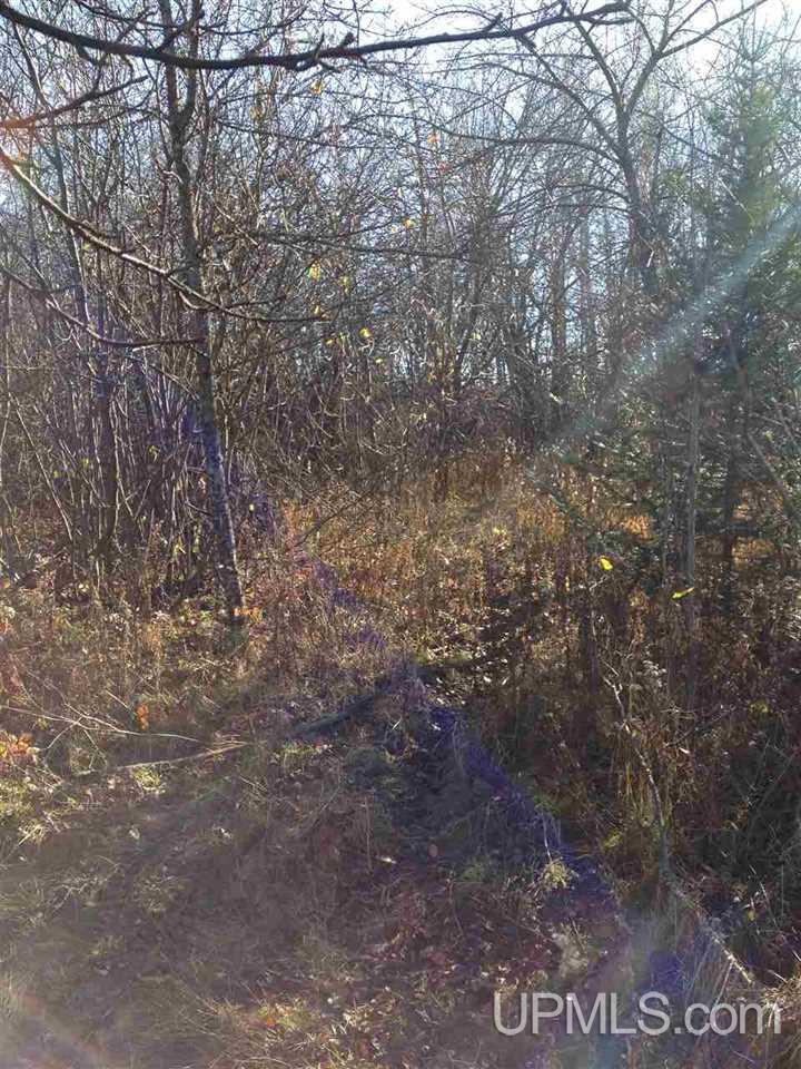 Tbd Hongisto Road Chassell, MI 49916 - Photo 16 of 16 Gallery Image 16