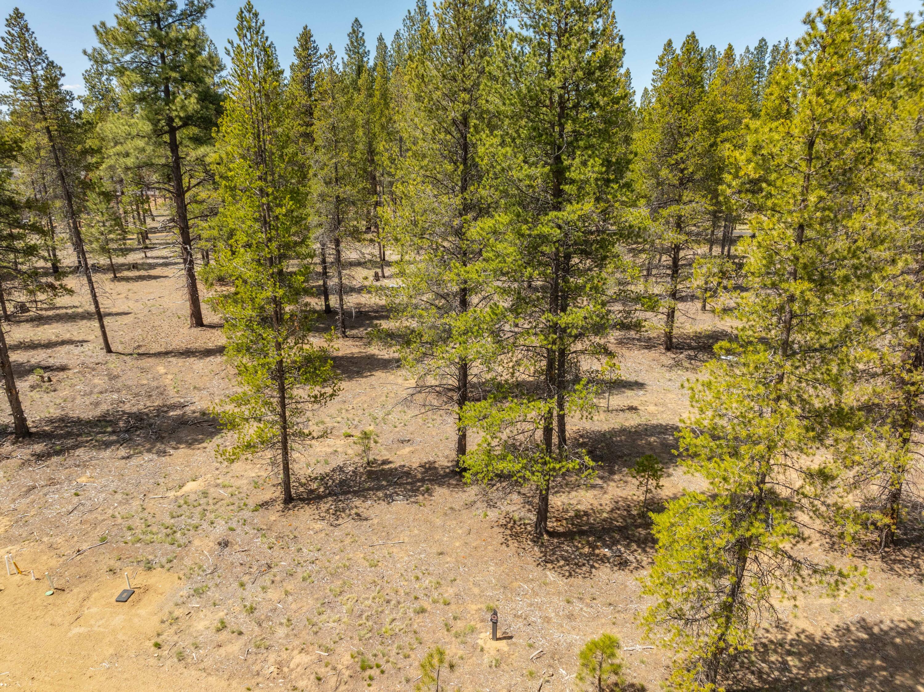 Preservation Loop Bend, Unit 460 Bend, OR 97707 - Photo 5 of 17 DJI_0046-HDR