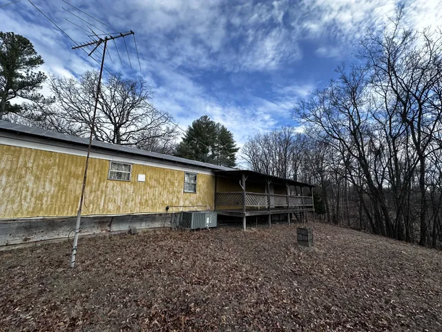 a view of a backyard with large trees