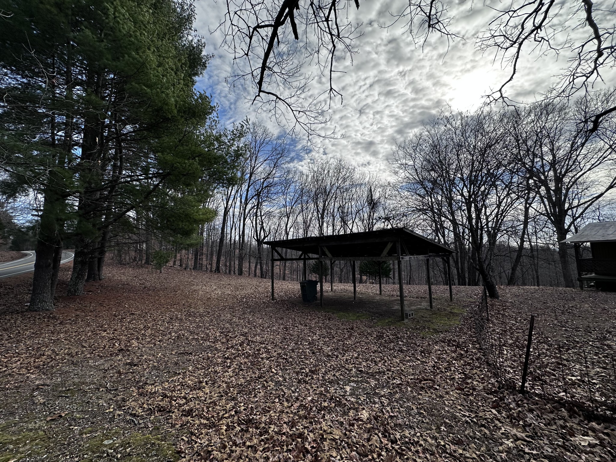 4386 Cumberland City Road Indian Mound, TN 37079 - Photo 3 of 14 a view of backyard with large trees