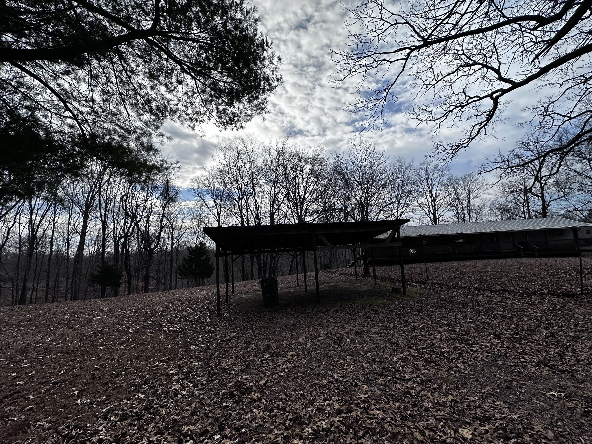 4386 Cumberland City Road Indian Mound, TN 37079 - Photo 4 of 14 a view of backyard with trees