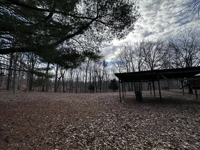 a view of a backyard with large trees
