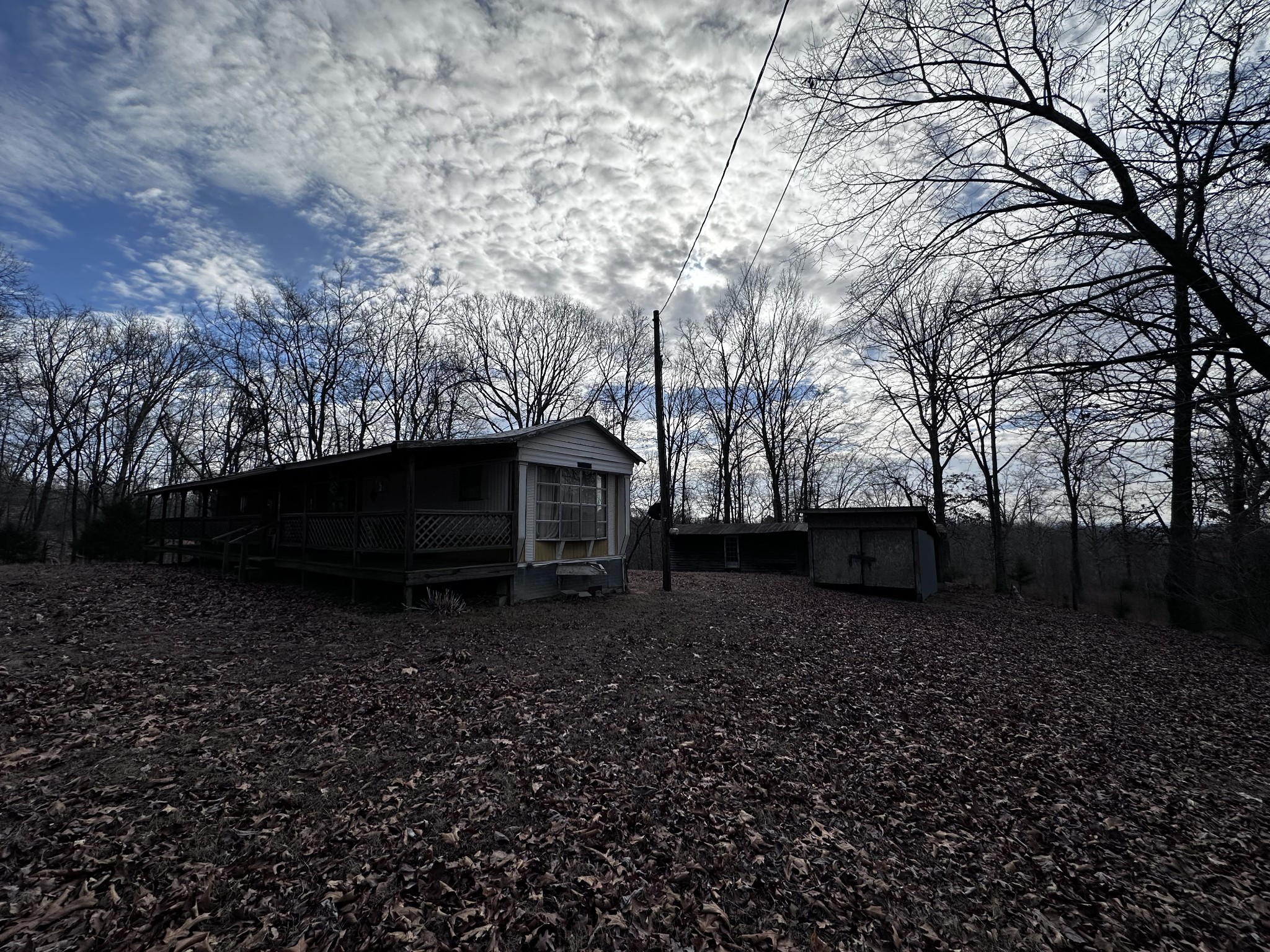 4386 Cumberland City Road Indian Mound, TN 37079 - Photo 7 of 14 a view of a yard with large trees