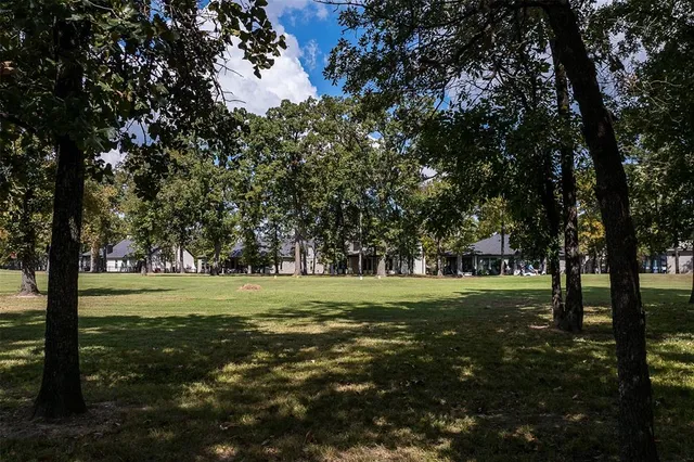 a big yard with large trees