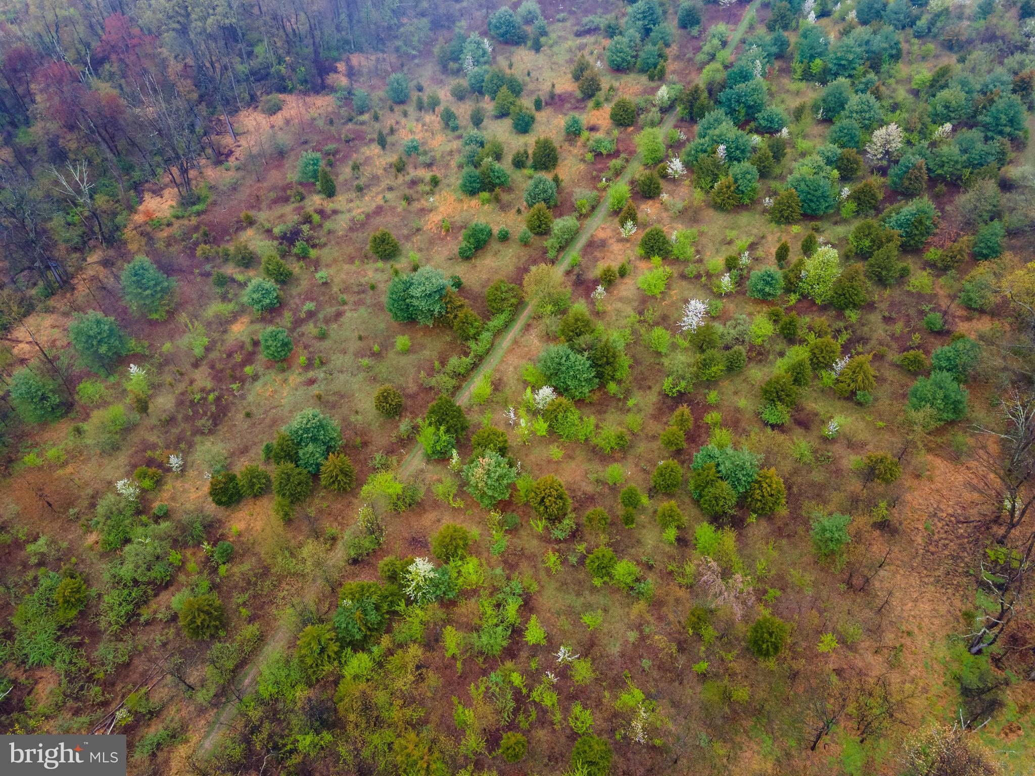 490 Morris Road Blue Bell, PA 19422 - Photo 3 of 8 Gallery Image 3