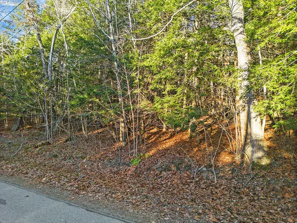 $59,900 | Lot 3-1 Bryant Road, Freedom, ME 04941