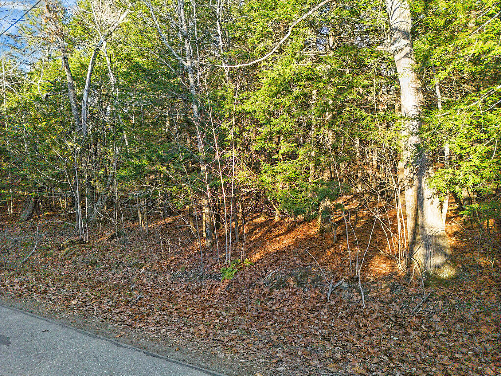 Lot 3-1 Bryant Road Freedom, ME 04941 - Photo 2 of 6 Road View