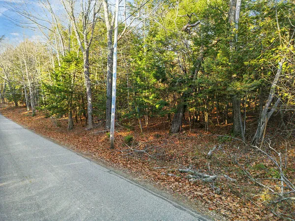 $59,900 | Lot 3-1 Bryant Road, Freedom, ME 04941