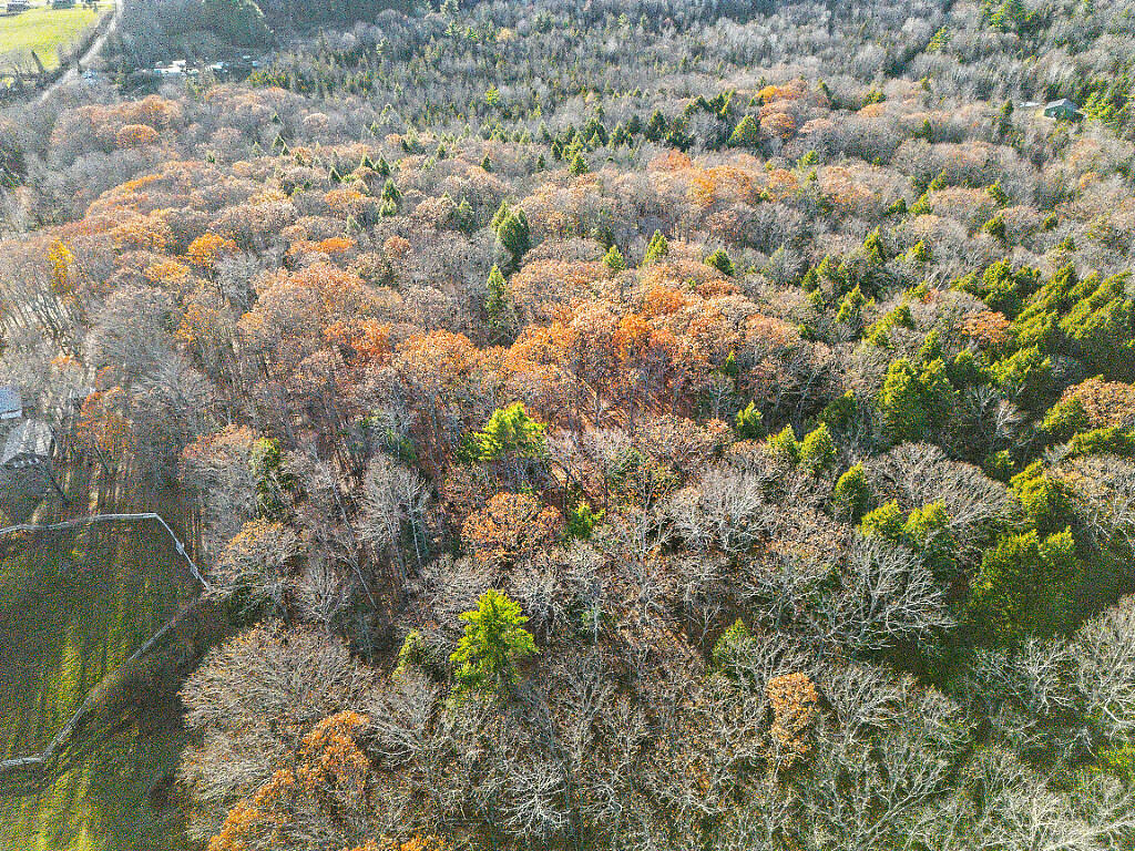 Lot 3-1 Bryant Road Freedom, ME 04941 - Photo 6 of 6 Aerial View L3-1 Bryant Rd Unity