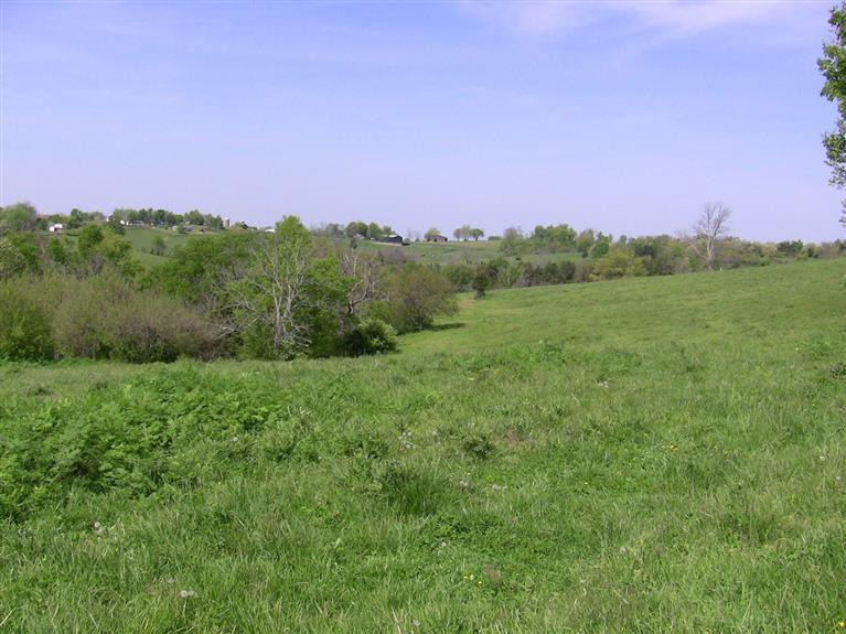 320 Cox-Howard Road Versailles, KY 40383 - Photo 4 of 12 Photo 4