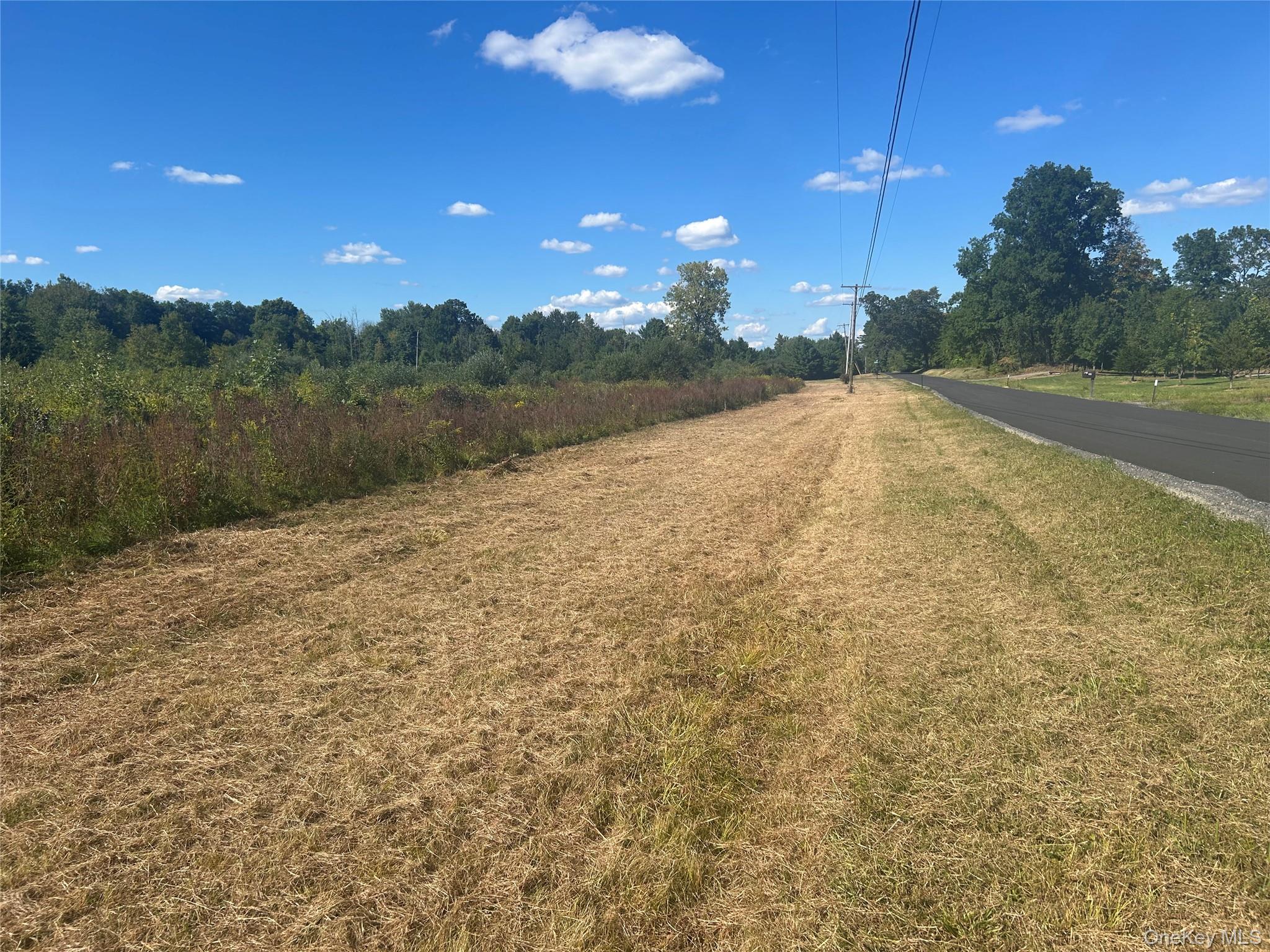 Viewmont Road Germantown, NY 00000 - Photo 1 of 1 View of asphalt road with a view of rural / pastoral area