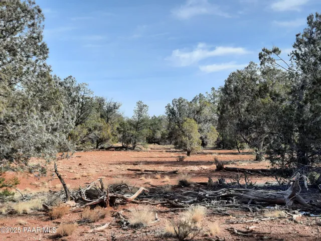 $8,000 | 55163 Campana Circle, Seligman, AZ 86337