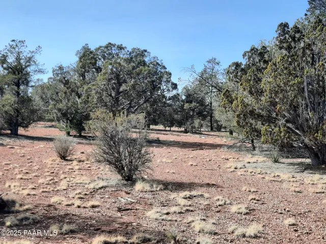 a view of dirt yard with a tree