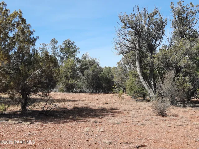 a view of snow covered with trees