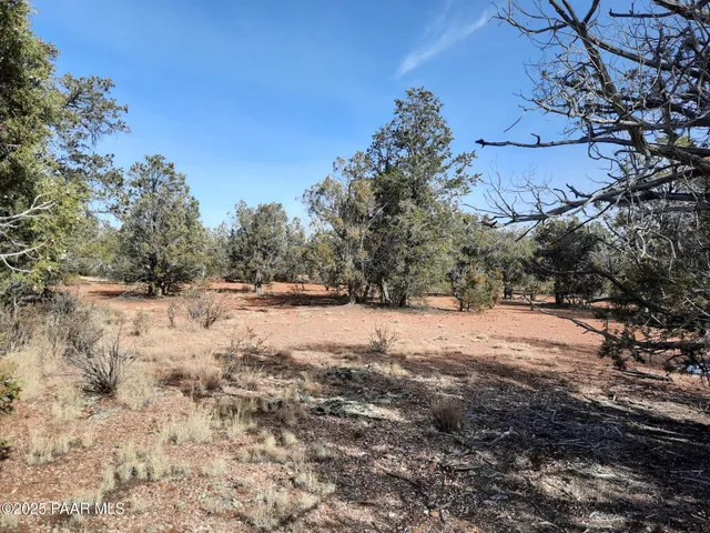 a view of a yard with a mountain