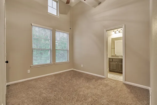 a park view with large trees and wooden fence