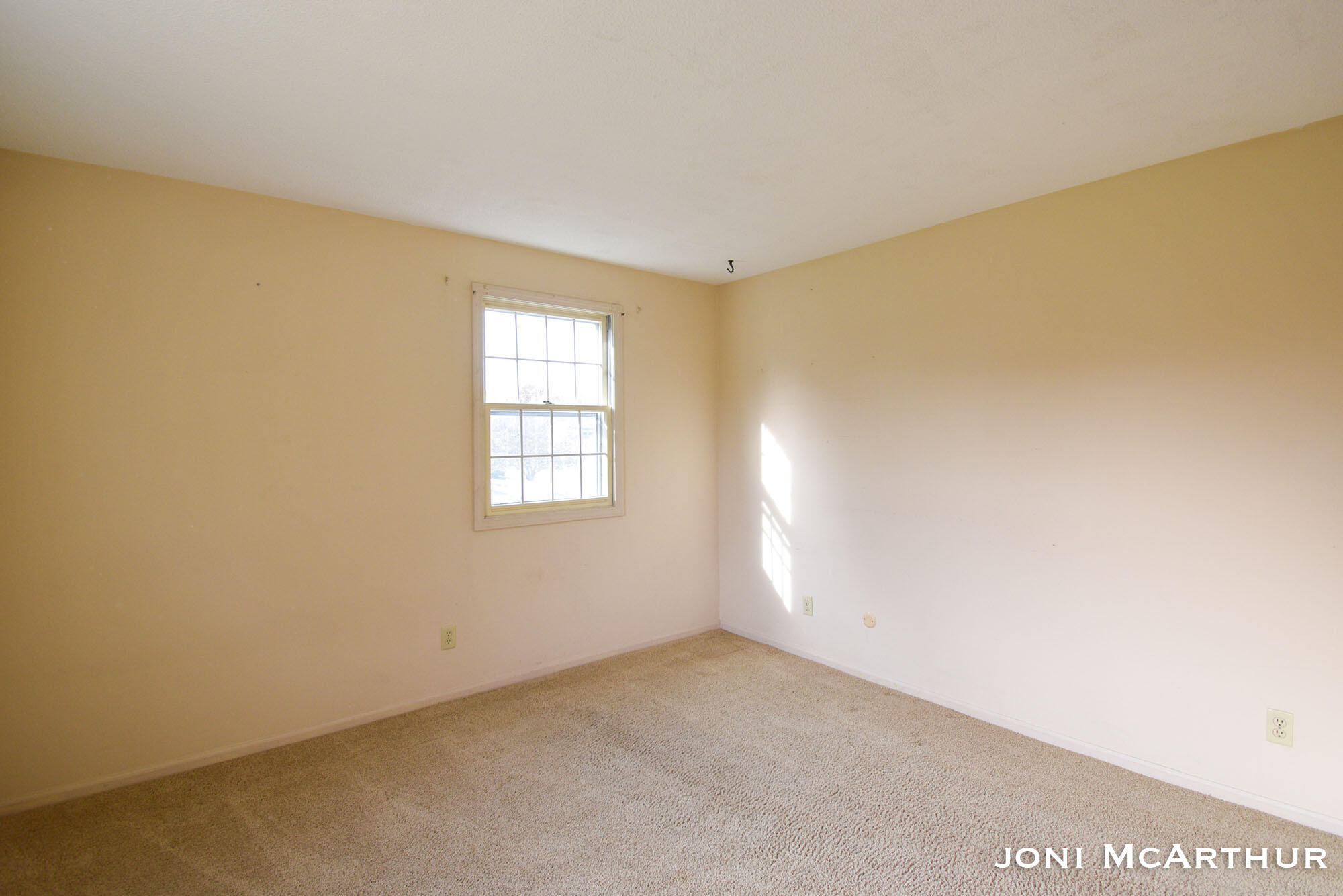 850 North State Road Belding, MI 48809 - Photo 33 of 48 DSC_0120RsRs