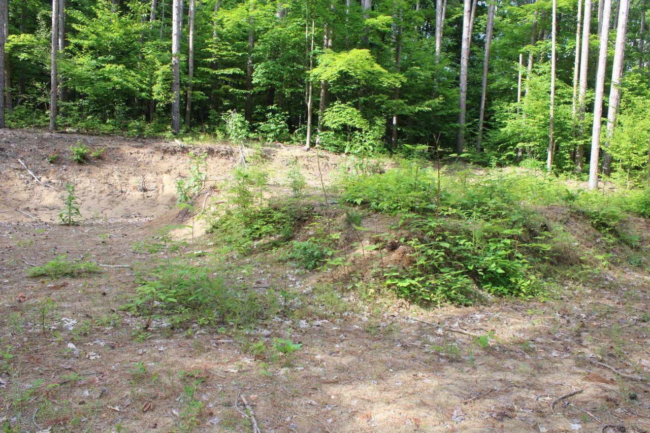 2750 Apple Creek Road Kalkaska, MI 49646 - Photo 17 of 24